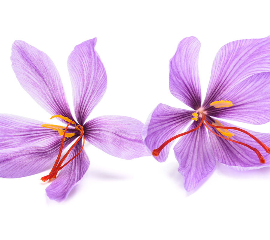 Estratto di Zafferano Dolomia